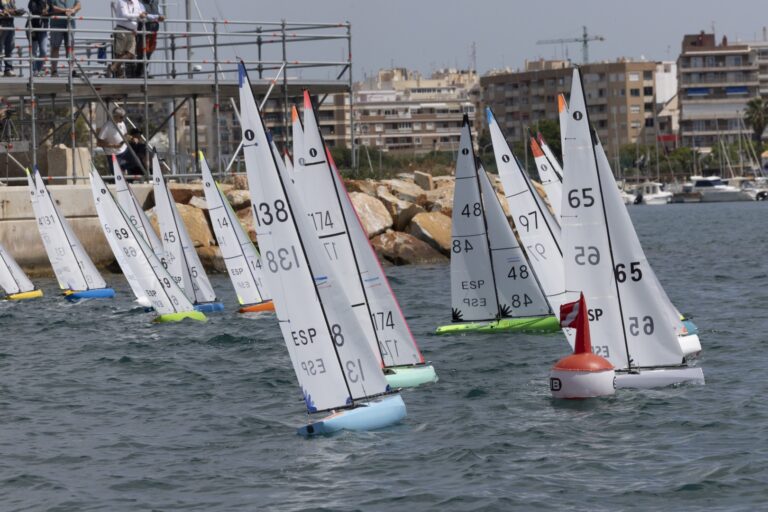 VIII TORREVIEJA INTERNATIONAL MEETING