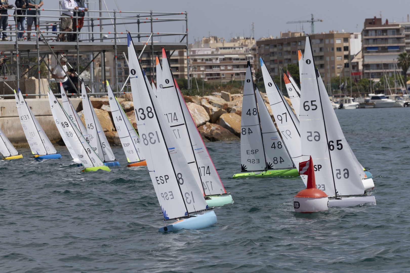 VIII TORREVIEJA INTERNATIONAL MEETING